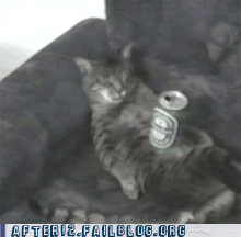 Party Fails - After 12: Crunk Critters - All I Want Is A Couch And A Beer
